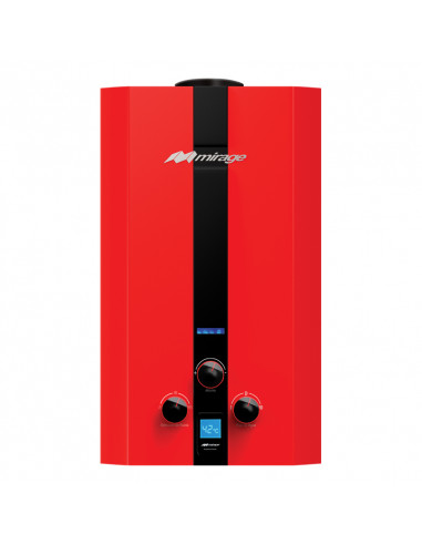 Boiler Gas LP 1 Servicio