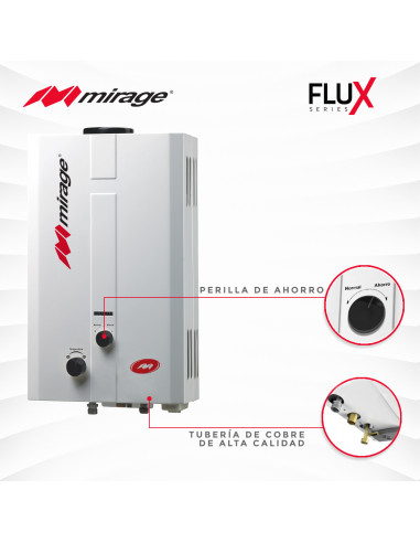 Boiler Gas Natural 1 Servicio