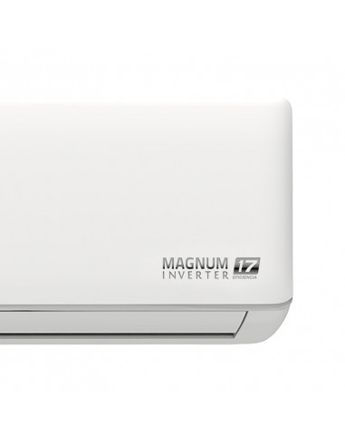 Espectador consonante radioactividad Magnum 17 Inverter 3 Ton Frío - Calor 220