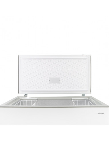 Congelador HB 10 pies